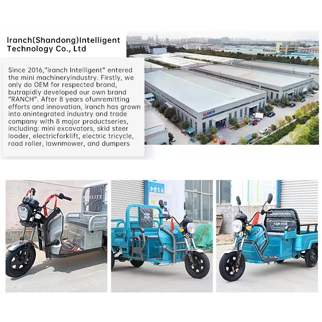 China Road Approved Cheap 500w Small Electric Tricycle For Elderly