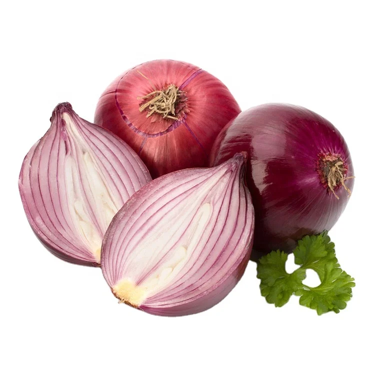 Mesh bag packing red / yellow fresh onion export to dubai