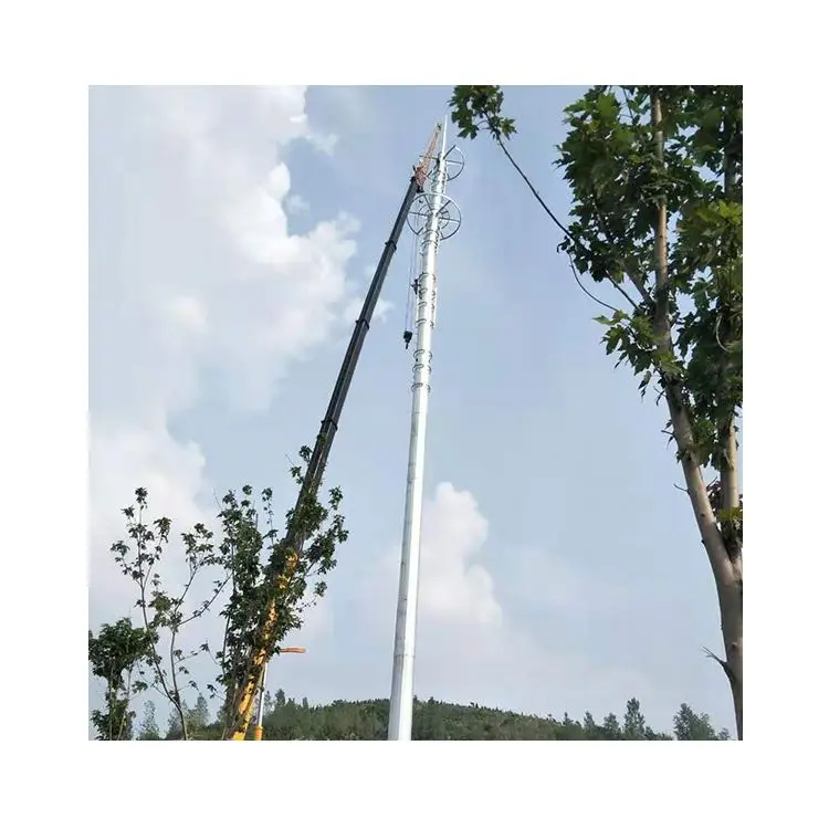 Most Popular Hot Dip Galvanizing Telecommunication Steel 40 Meter Monopole Tower