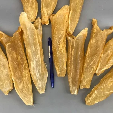 Quality Dried Eel Fish Maw