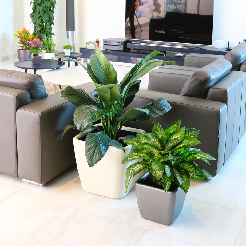 Terracotta pots wholesale self watering planters