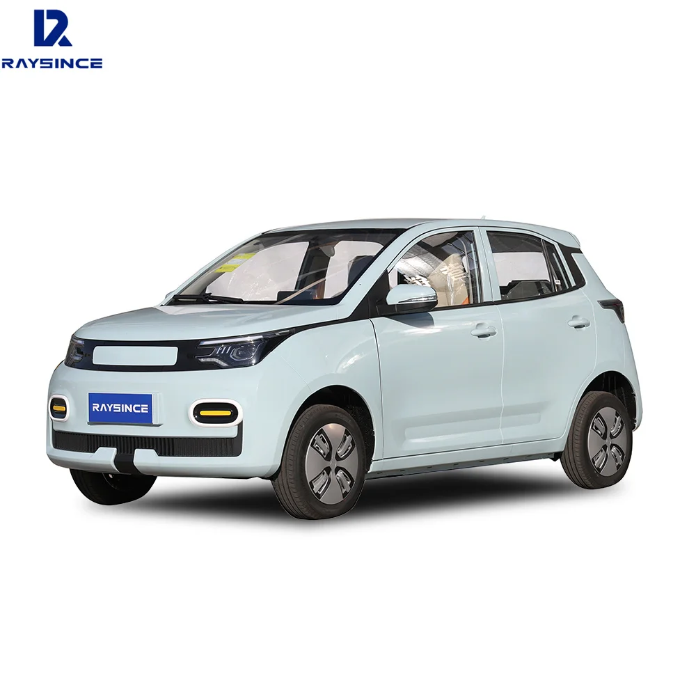 Raysince Smart Mini New Electric Car with Lithium Batteries