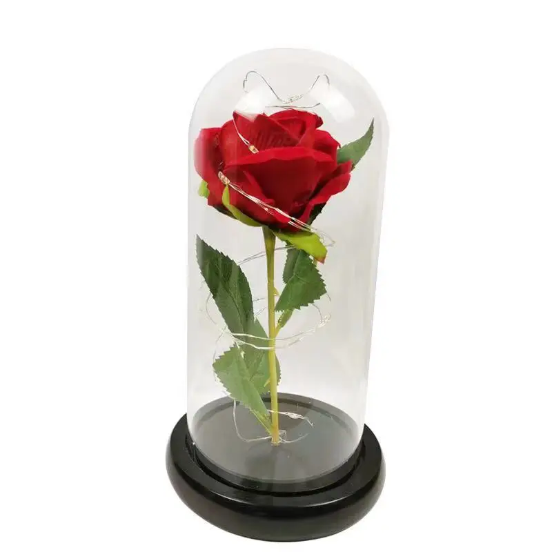 Love Roses in Glass Tube Dome Everlasting Flower Rose Stem Flower Glass Dome Rose