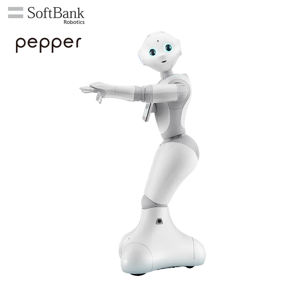 SoftBank перец Робототехника академический лагерь решение для STEM K12 обучение и исследование развитие хобби в программирующих