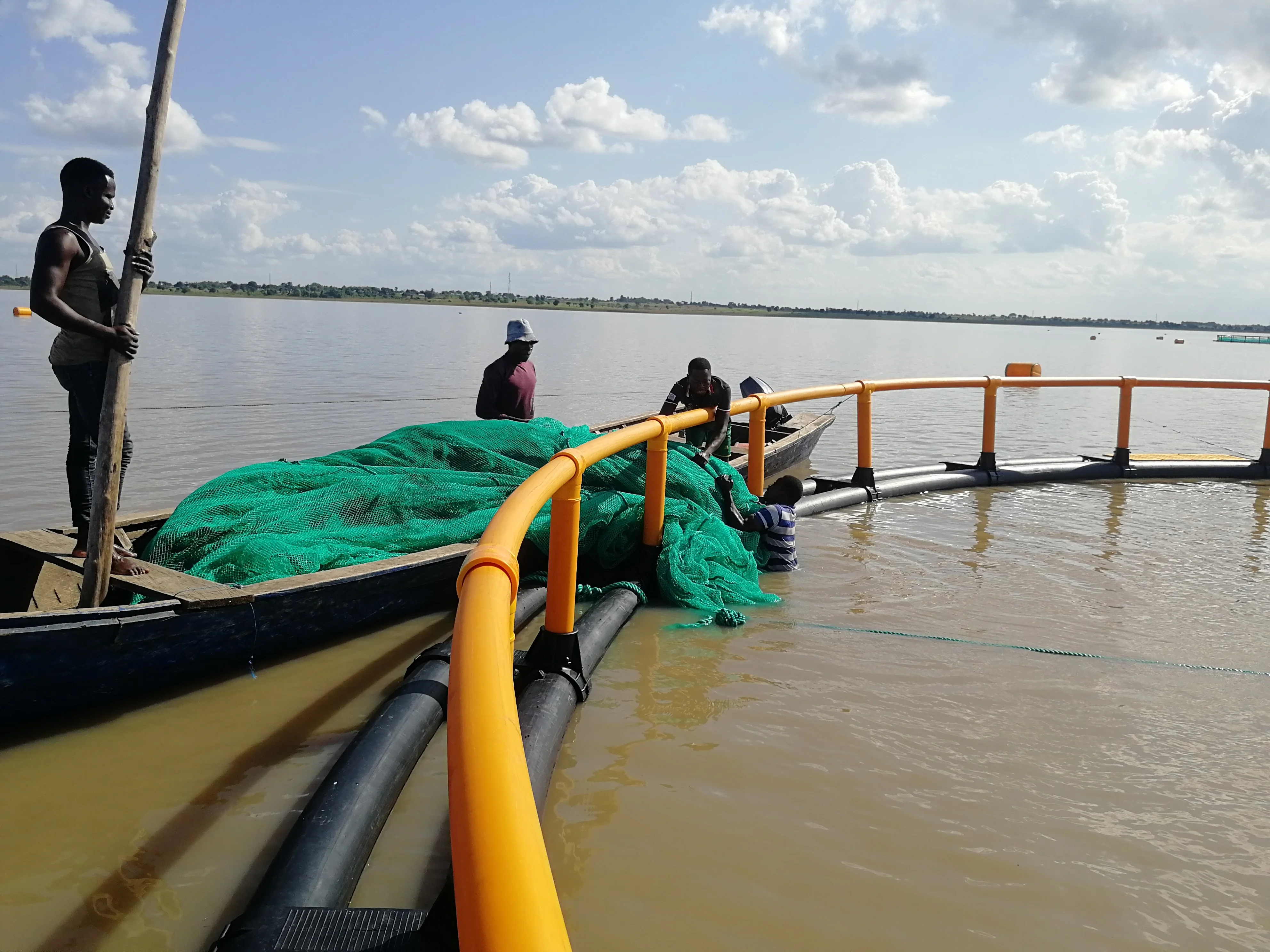 grouper fish farm sea fish breeding net cage
