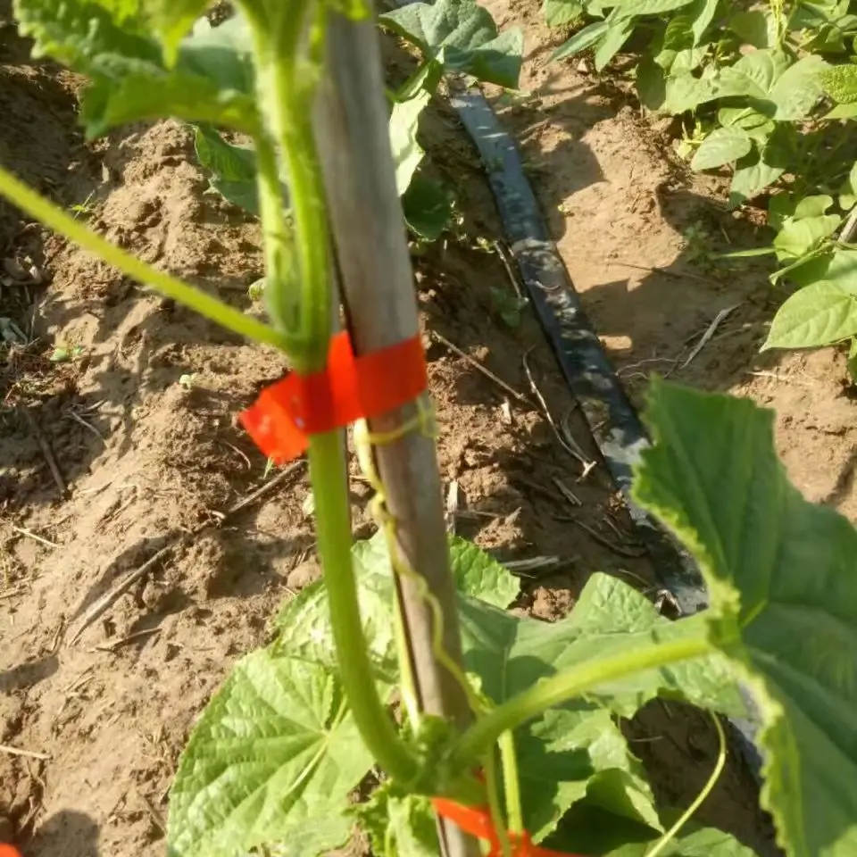 Heavy Duty Stretch Garden Tie Tape  Green Plant Tape