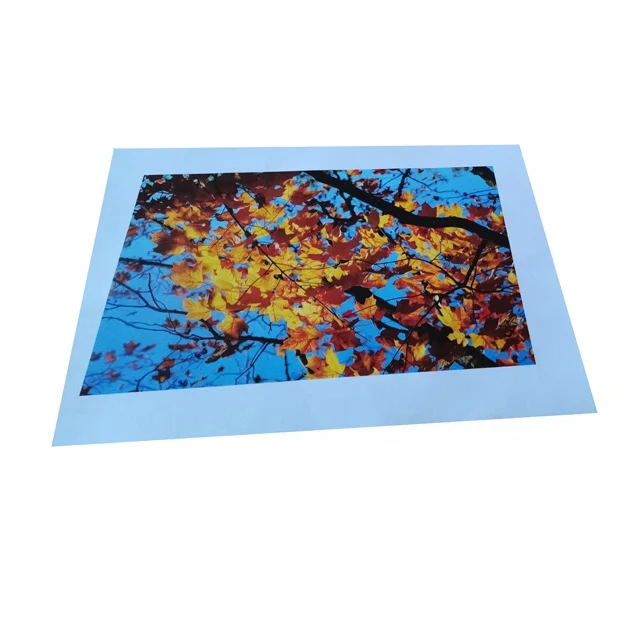 Digital Printing swimsuit  fashion model advertising lamination Art Paper, Cardboard paper poster