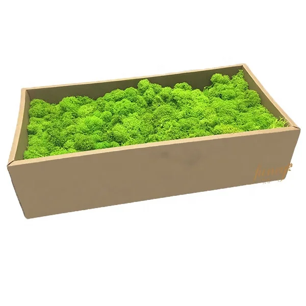 Wholesale Natural Real Green Preserved Reindeer Moss Wall Frame Decoration Stabilized Moss