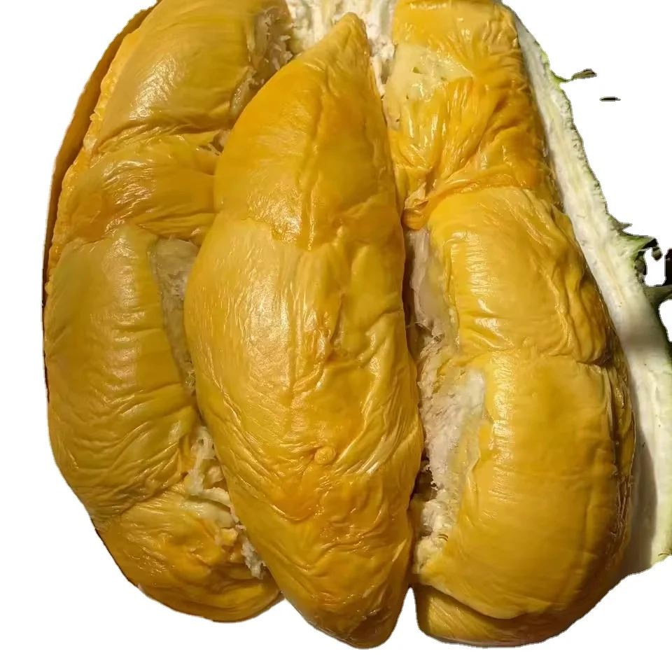 Premium D101 Durian Frozen Whole Fruit Top Malaysian Durian Manufacturer & Exporter