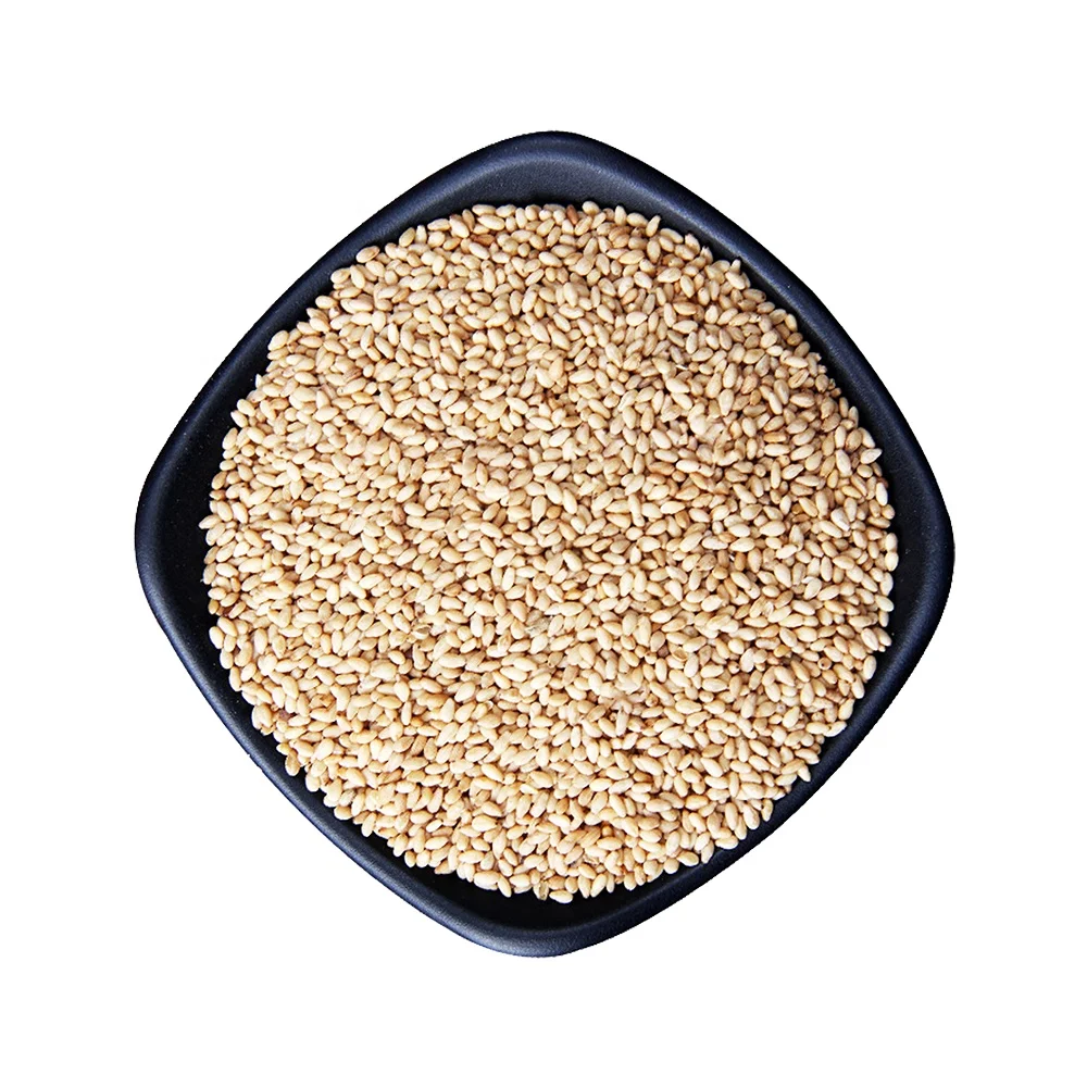 Оптовая продажа жареных кунжутных семян белого цвета для продажи