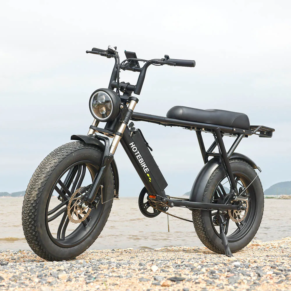 Fat Tire Electric Bicycle 20inch Dirt Ebike Factory Price 750w 500w motor 20ah battery Off-road Electric Bicycle