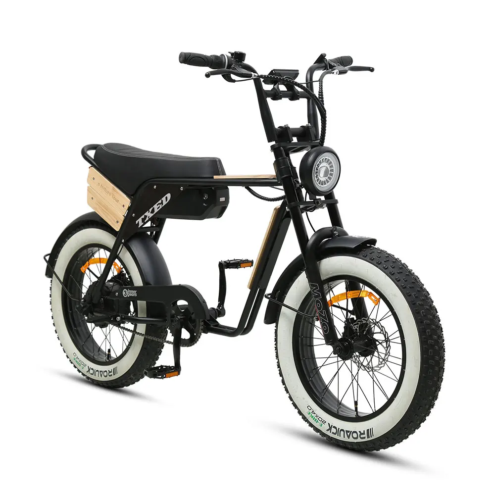 TXED 20 inch suspension 48V electric fat bicycle wooden decorate plate Motorcycle Style e Bike