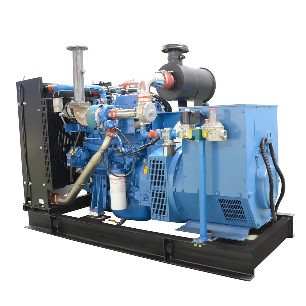 Одобренный CE генератор syngas 1