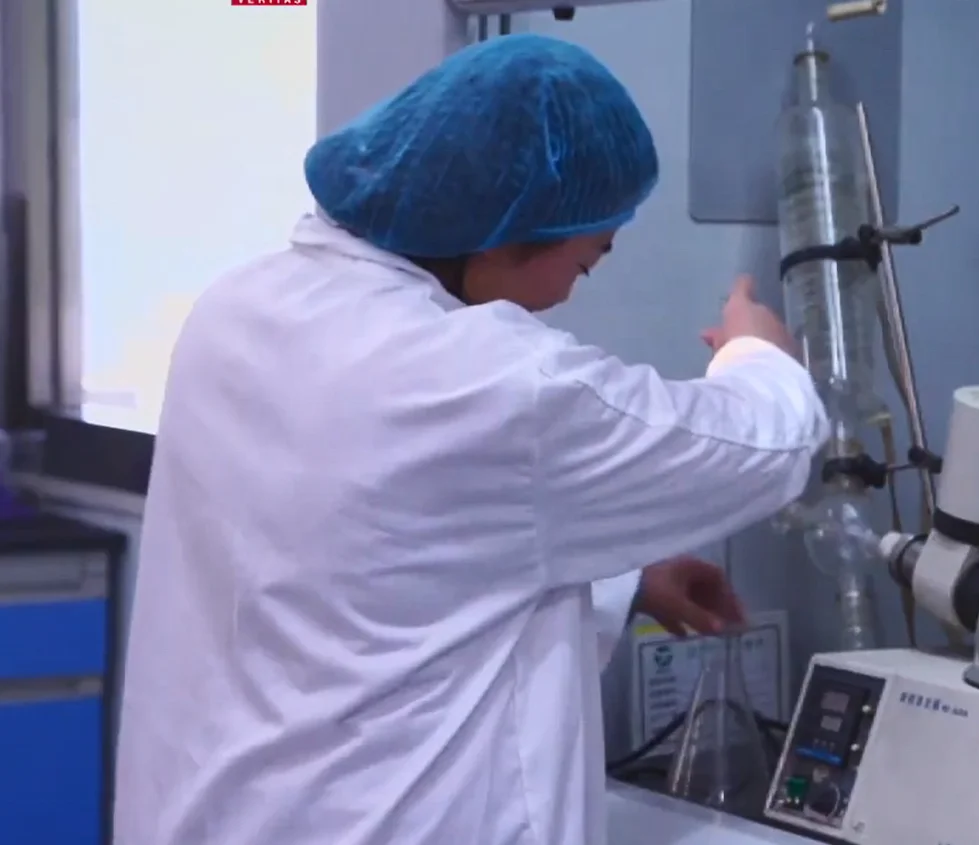 IQF Frozen Fresh Cranberry