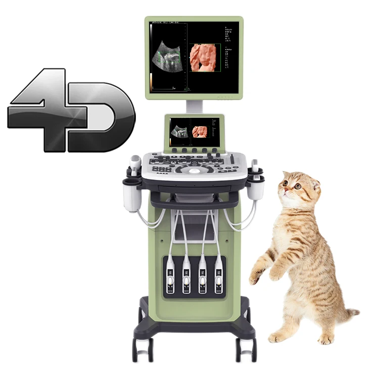 ZONCARE Medical Ultrasound Instruments 4D Trolley Ultrasound Scan Color Doppler Diagnostic System Veterinary Ultrasound Machine