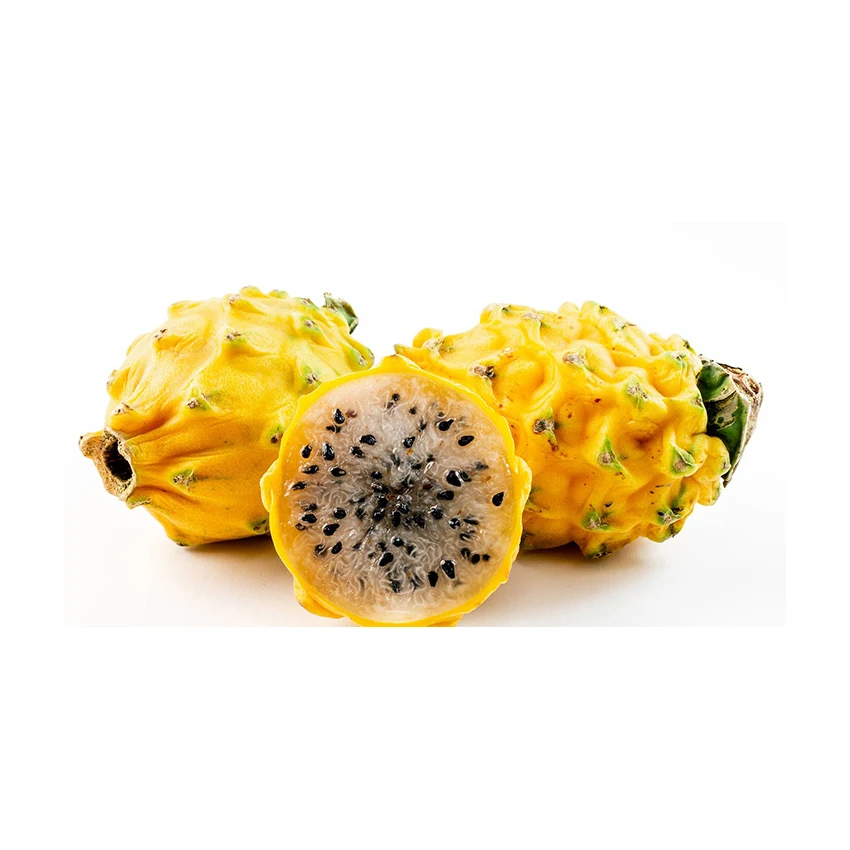 100% органические фрукты Свежий фрукт дракона из