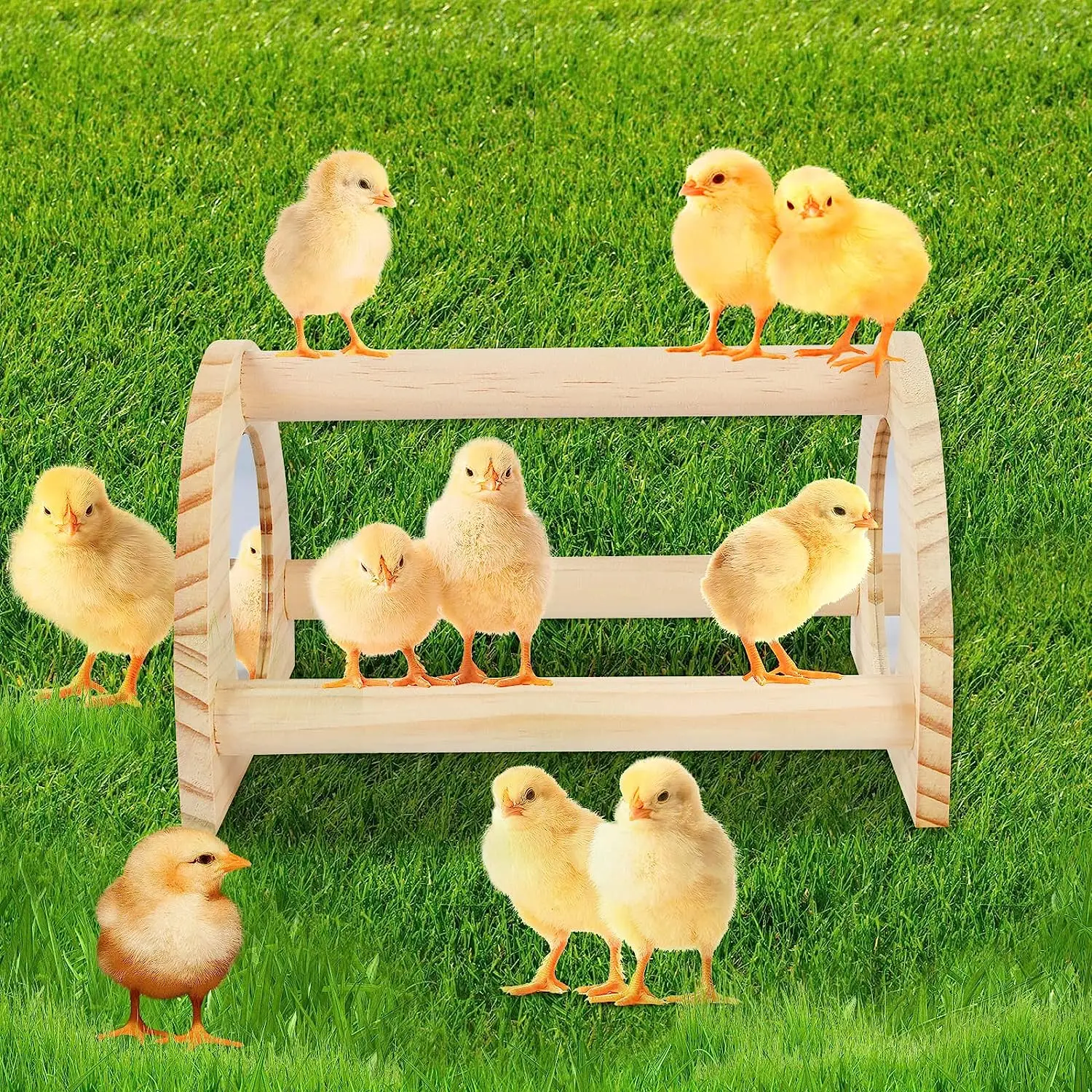 Pine with mirror chicken habitat Chicken jungle gym chicken toys are suitable for parrot, hen training roosting toys