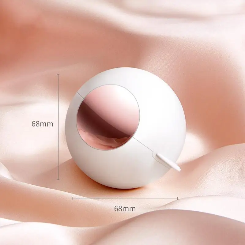 No Adhesive or Sticky Tape Required Perfect Portable Hair Remover Roller Ball for Couch and Clothes