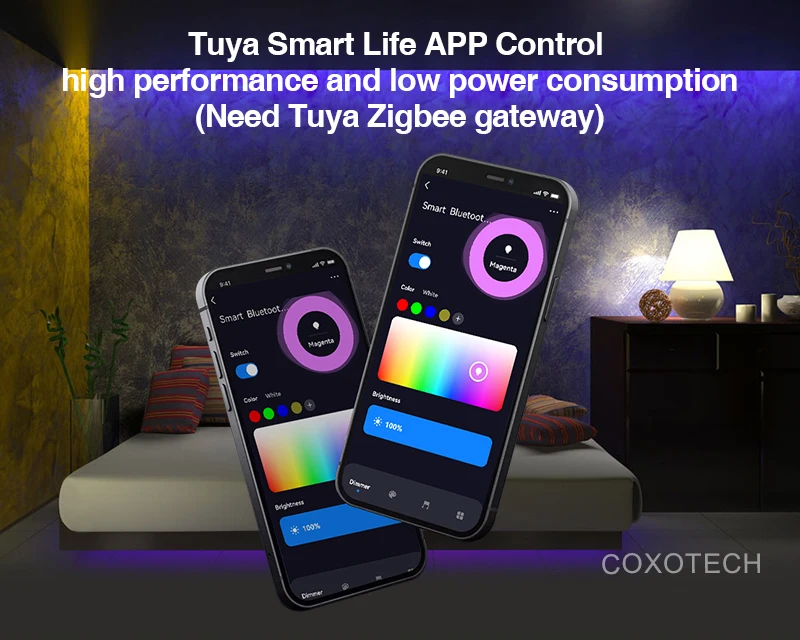 C05Z Tuya Zigbee RF RGBCCT Controller
