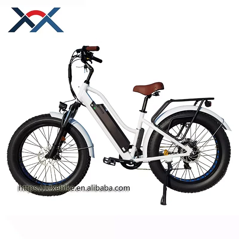 24Inch Beach Cruisers Electric City Bike 48V 750w Rear Hub Motor Fat Tire E Bike Electric Bicycle for Ladies