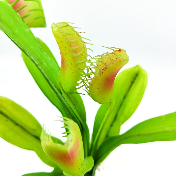 Продажа Dionaea украшение для мускулы реалистичные суккуленты растение искусственные листья