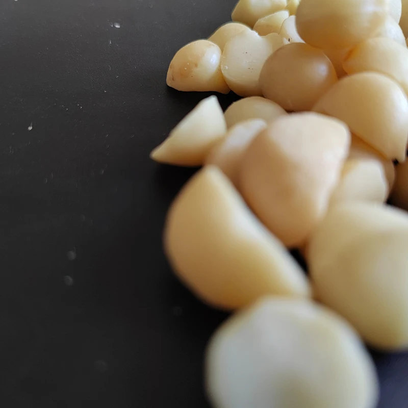 China Manufacture Quality Macadamia Kernels For Exporting