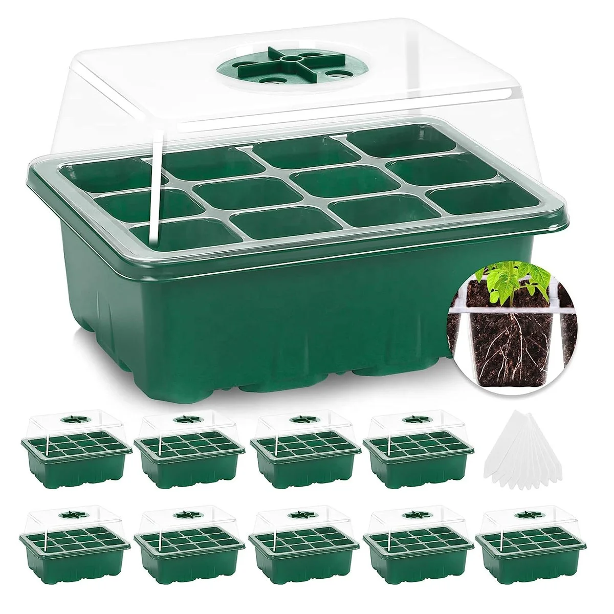 12 Cells Seedling Starter Tray Germination Grow Box with Humidity Dome Seed Starting Trays Plant Starter Kit and Base