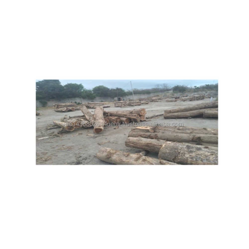 Wooden Log Material and Customizable Wood Log Slices Cabin Homes Prefab Log Quality Periodic Antenna