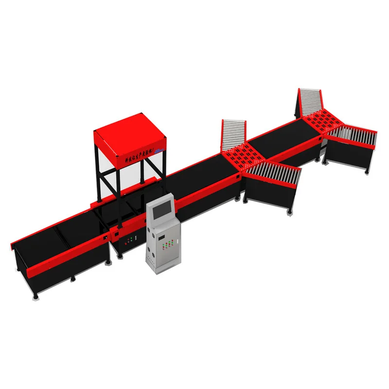 Dynamic Barcode Scan DWS Cubiscan System Parcel Machine Dimensioning Weighing And Scann Sorting Line