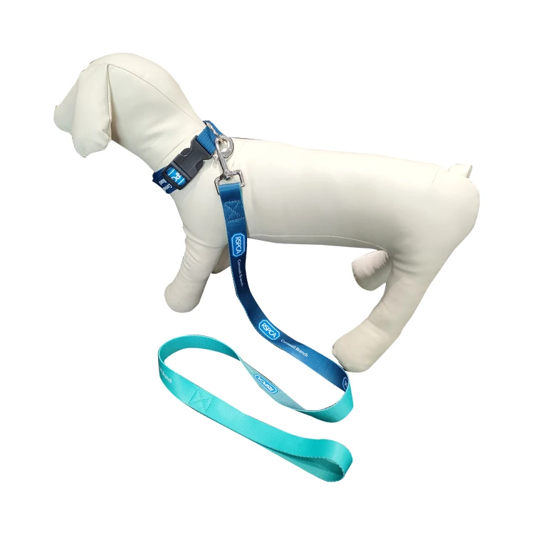 Wholesale Gradient Color Dye Sublimation Custom Printed Adjustable Dog Training Rope Leash Chain And Collar Set