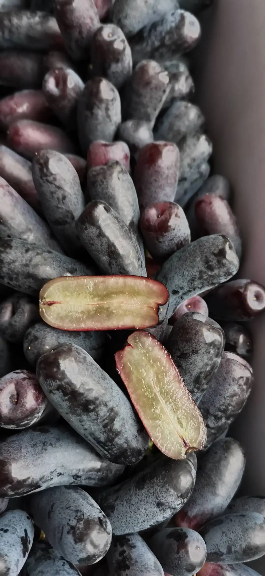 Chinese black grape fresh crop Moon drop grape