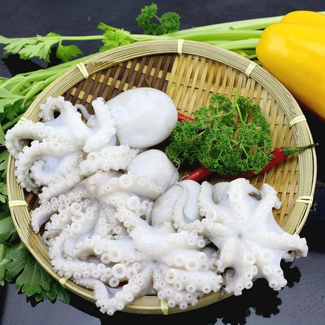 
Fresh flowered baby octopus sea food companies 