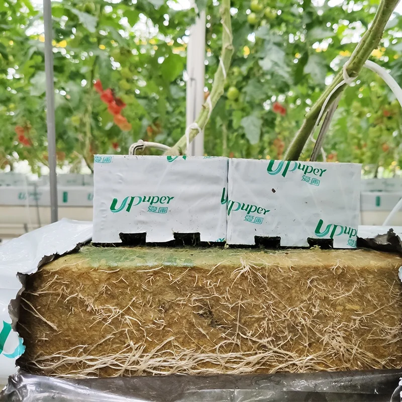 UPuper 40x8x3 inch hydroponics agricultural Indoor growing system vertical farm hydroponic slabs
