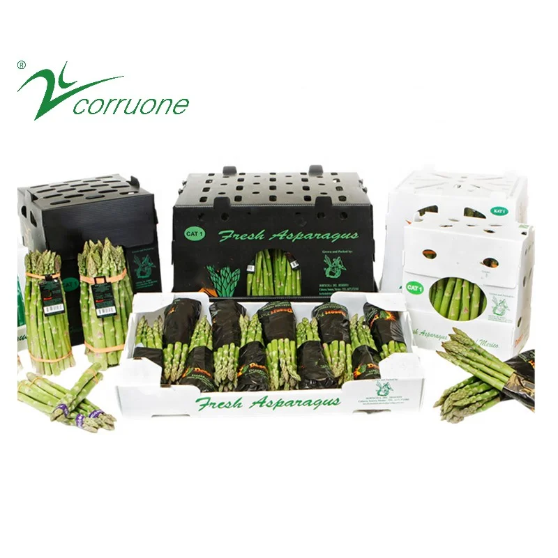 ПП гофрированная пластиковая коробка для овощей и фруктов correx Corn okra сельскохозяйственная упаковочная