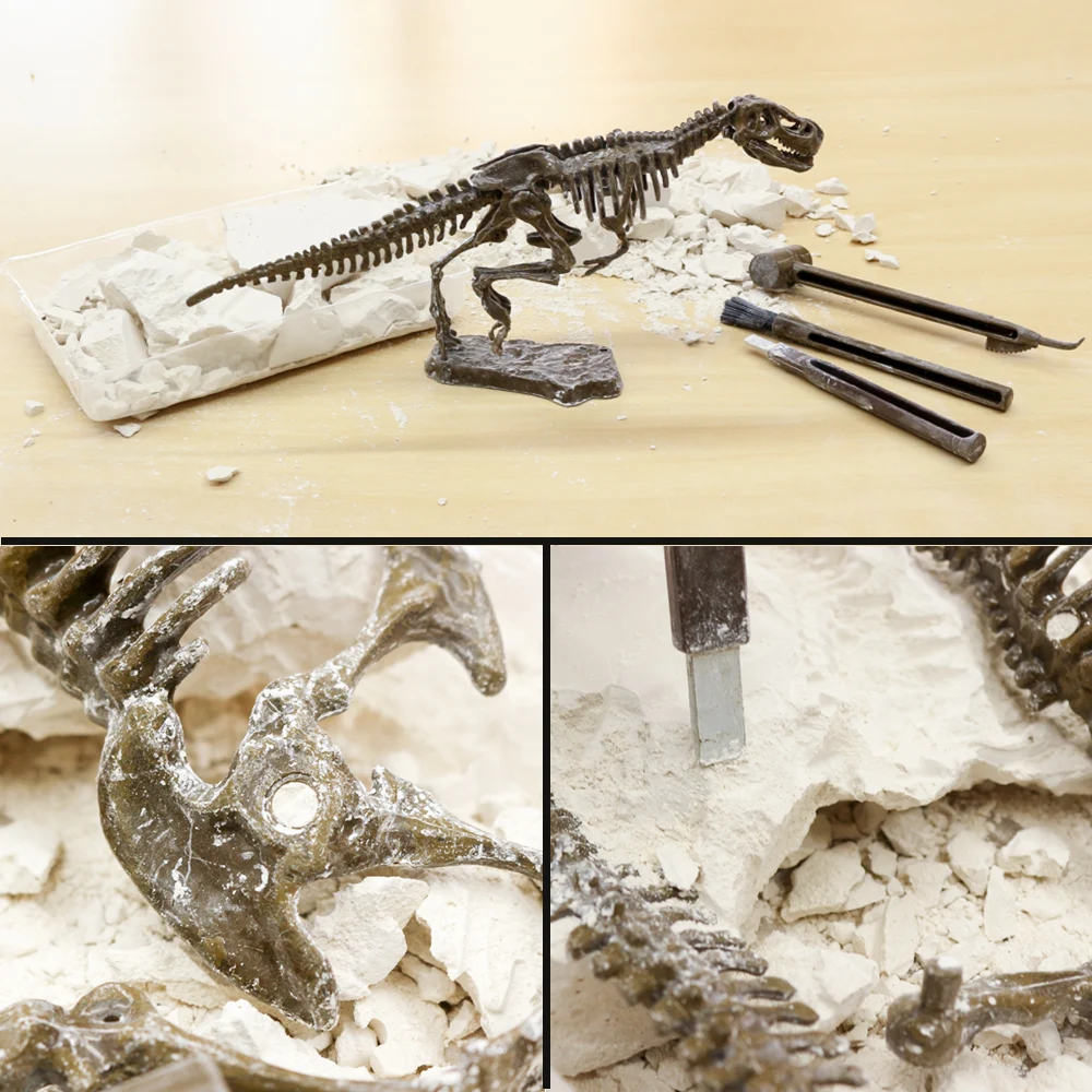 Scientific exploration T-REX dinosaur fossils dig games for kids