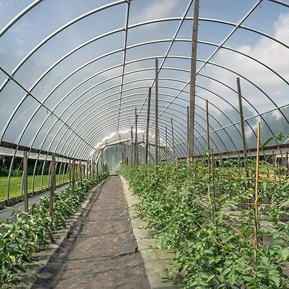 Quality Guarantee Greenhouse Film Uv Treated Plastic Film Greenhouse for Sale