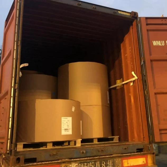 
Ningbo Fold GC1 FBB Coated Cardboard Ivory Board In Roll 