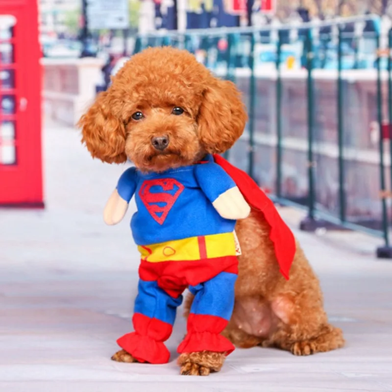 Superman pet dog clothes sweater pet Superman cape Halloween Dog disguise standing Christmas