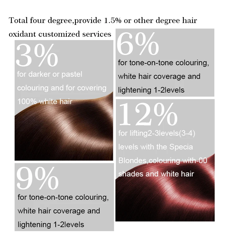 Wholesale 3.8L Good Quality OEM  Less Irritant Hair Dye Assistant Hair Peroxide Developer For Salon Use