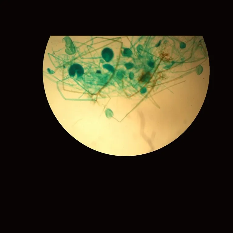 XJX-4XB professional industrial optical light quadruple digital inverted metallurgical microscope with filter for industry