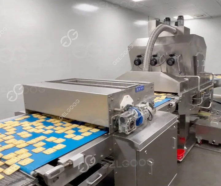 Manufacturing Plant Cookie Biscuit Moulding Pressing Machinery Chocolate Biscuit Making Machine