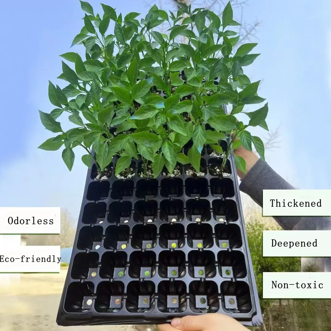 Free Sample 60g Durable PS 21-128 Cells Garden Flower Vegetables Plant Germination Square Plastic Nursery Seedling Trays