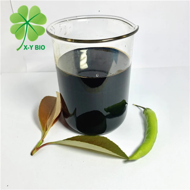 XYBIO natural high quality seaweed extract from kelp seaweed liquid fertilizer
