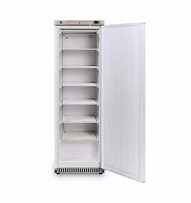 Factory Price -25 Degree Deep Freezer Vertical Expositor LED Manual modern freezer for Sale