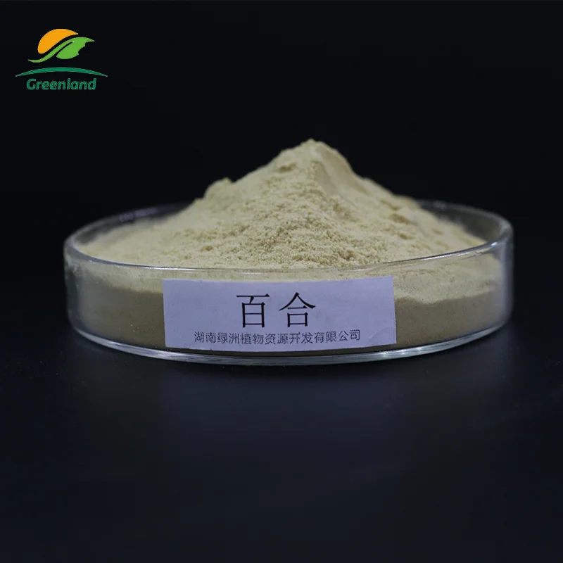 Factory wholesale Lily bulb extract Baihe PE powder Lilium Extract Powder