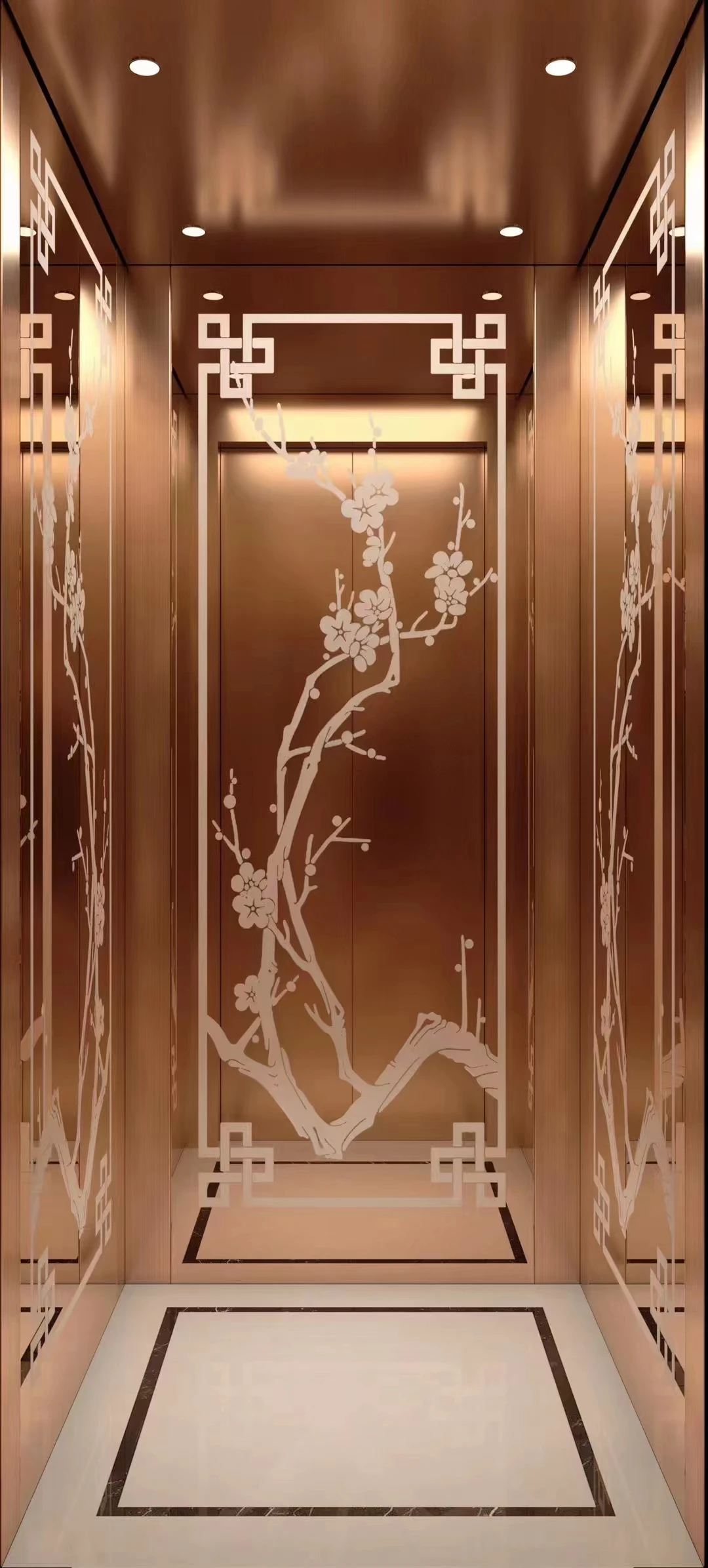 AISI ASTM SUS 304 colored etched stainless steel wall cladding ceiling elevator door