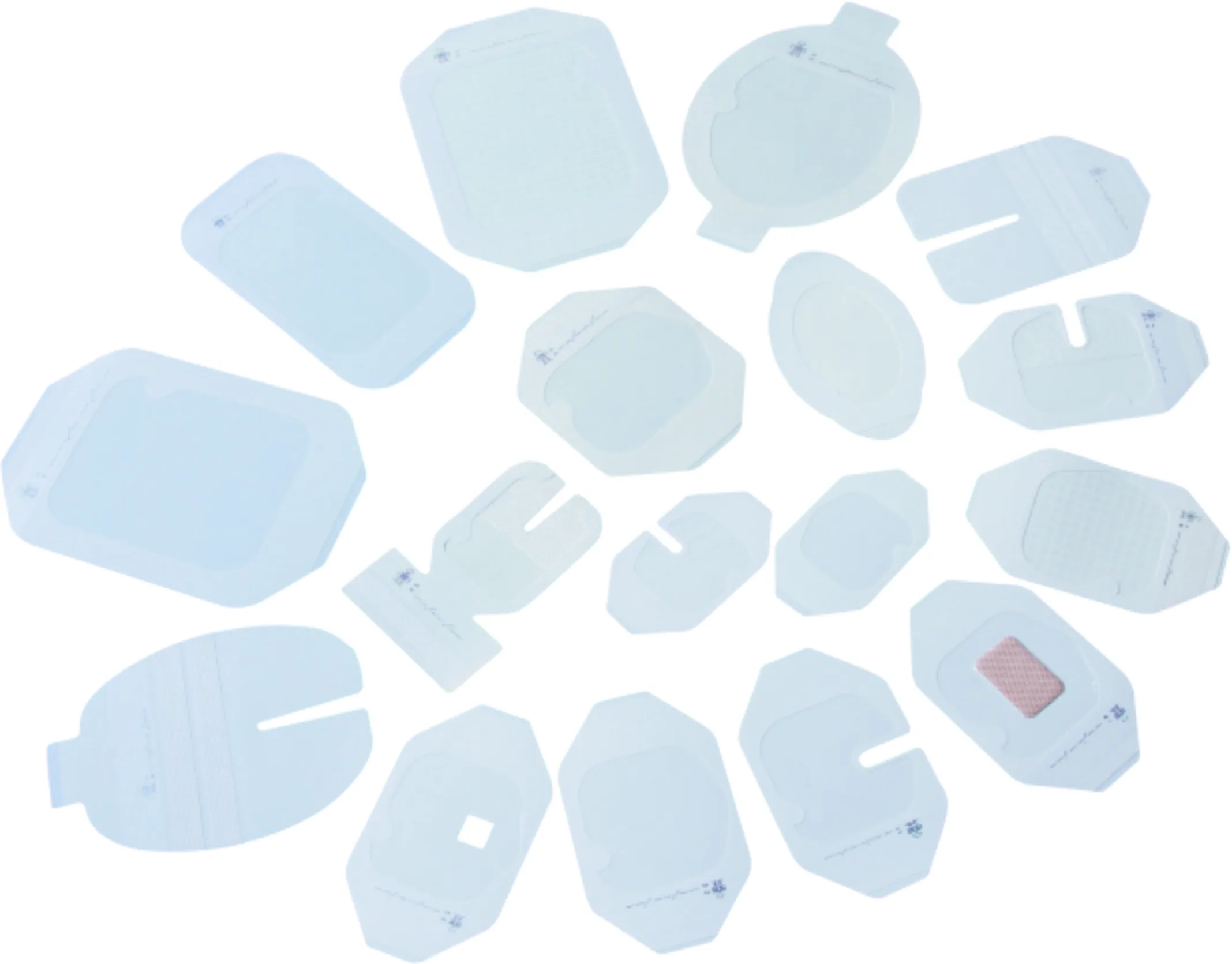 Transparent film dressing