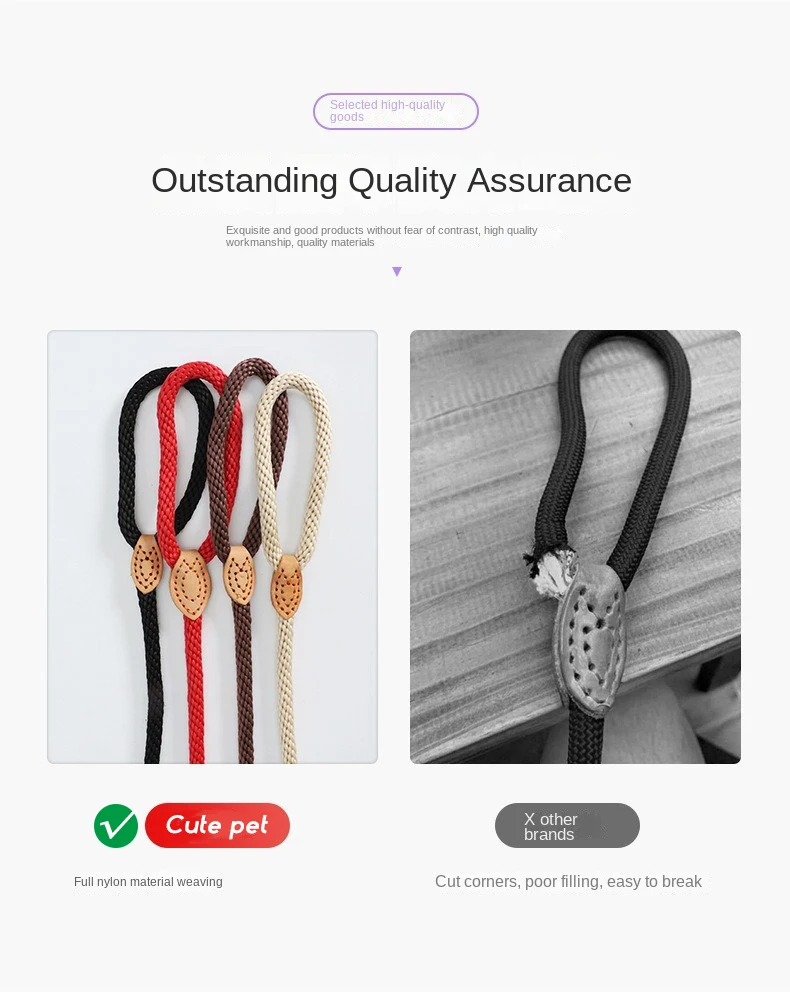 Pet accessories Walking Training anti chock Rope Slip Dog Leash Soft Comfortable dog rope leash Nylon P Chain Dog Leashes