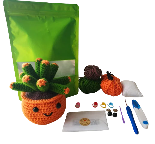 Crochet Kit for Beginners Crochet Amigurumi Succulent Plant  DIY Craft Kit Kawaii Plant