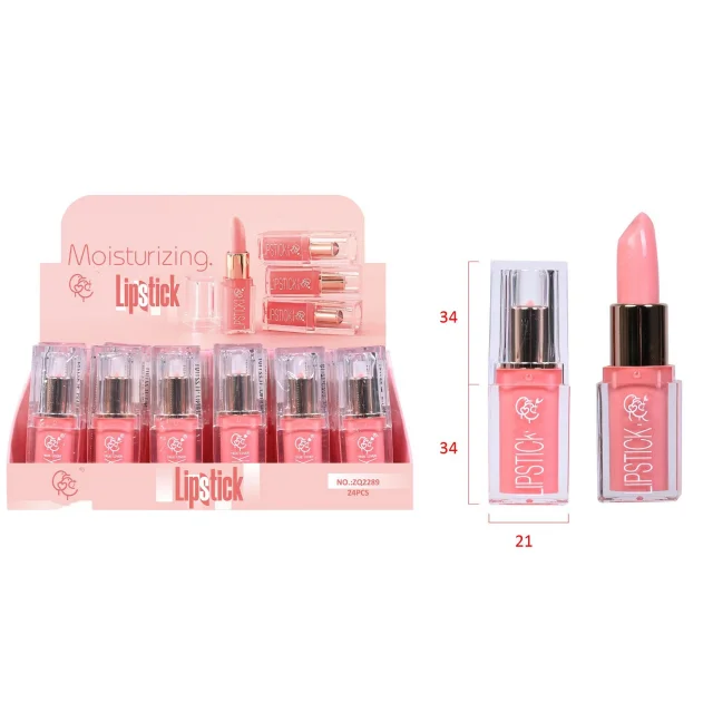 Custom Logo OEM ODM Natural Sheer Mineral-based Private Label Lip Pumping Stick Makeup Lipstick
